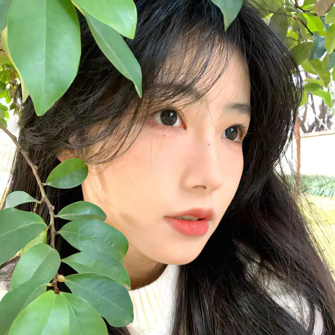 蛇蝎美人第一季